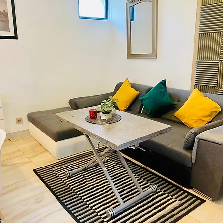 Apartment Duplex Climatise Avec Terrasse Sur Jardin Montmorency