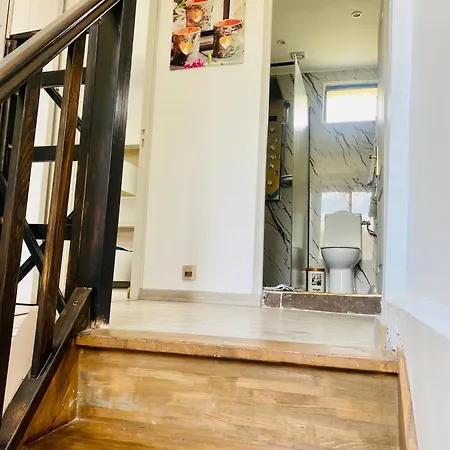 Apartment Duplex Climatise Avec Terrasse Sur Jardin *